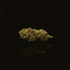 Cali Weed richtig anbauen